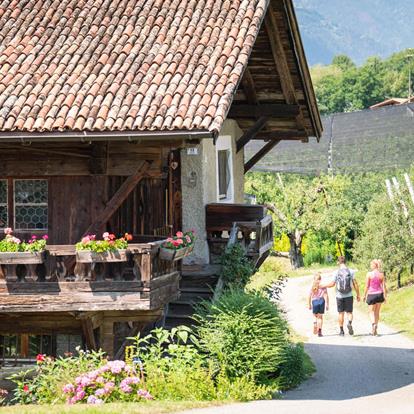 Sustainable holidays on the farm