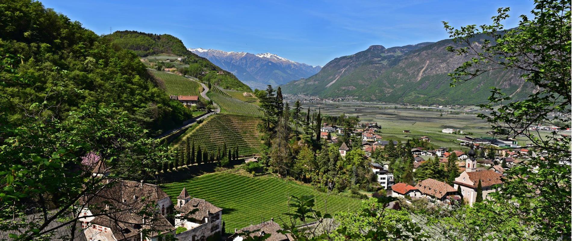 Scoprite gli hotel a Nalles