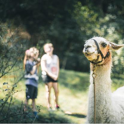 Familie in Lana und Umgebung