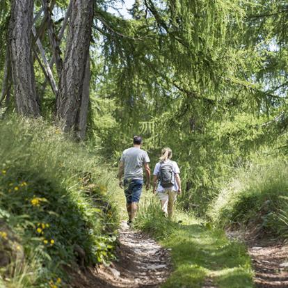 Wandelpade in Hafling-Vöran-Meran 2000