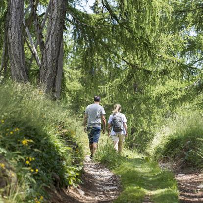 Geführte Wanderungen in der Umgebung von Nals