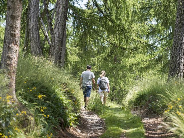 Natur-Wald-Wanderweg-Meraner-Land-af