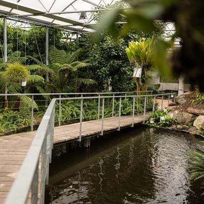 Orchid World Raffeiner