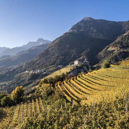 Home-SchlossTirol-Herbst-Dorf-Tirol-hn[2]