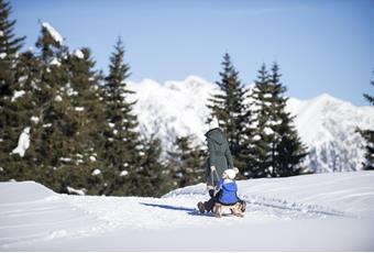 Sledding