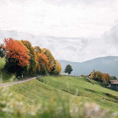 Hafling, Vöran, Meran 2000