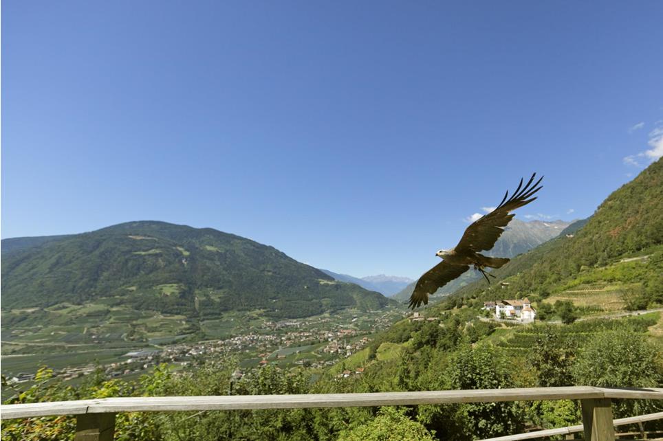 2-tv-dorf-tirol-frieder-blickle-1