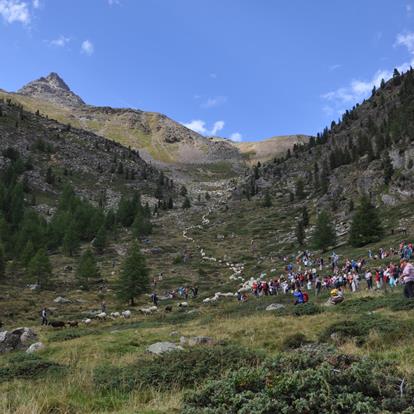 Maso Corto in Val Senales