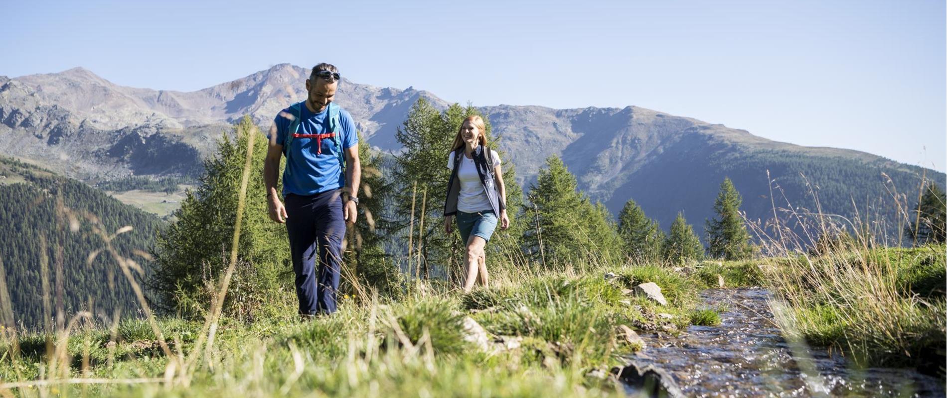 Guided hiking tours