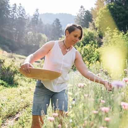 Environmentally Responsible Tourism in the Passeiertal Valley