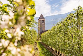 Chiesetta di San Procolo