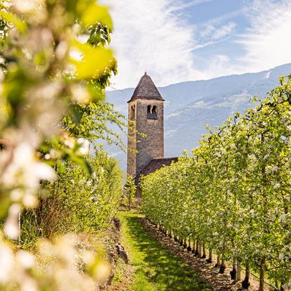 St. Proculus Church and Museum