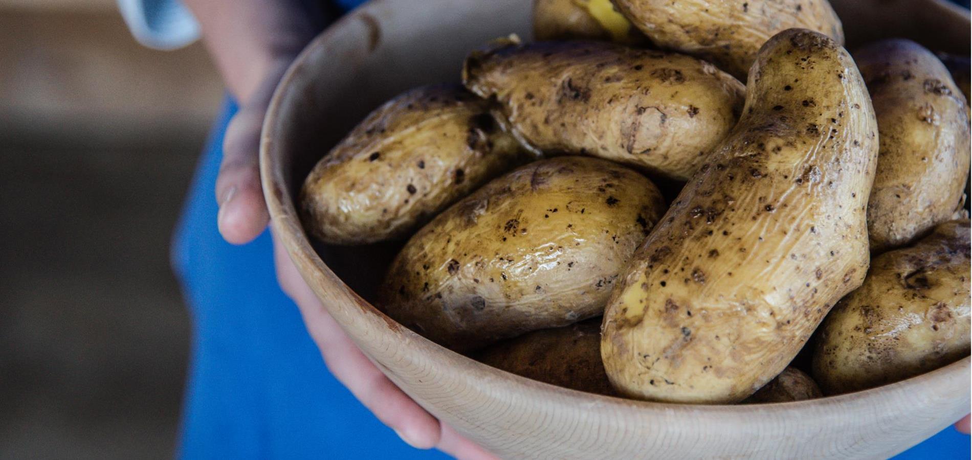 Potato Weeks