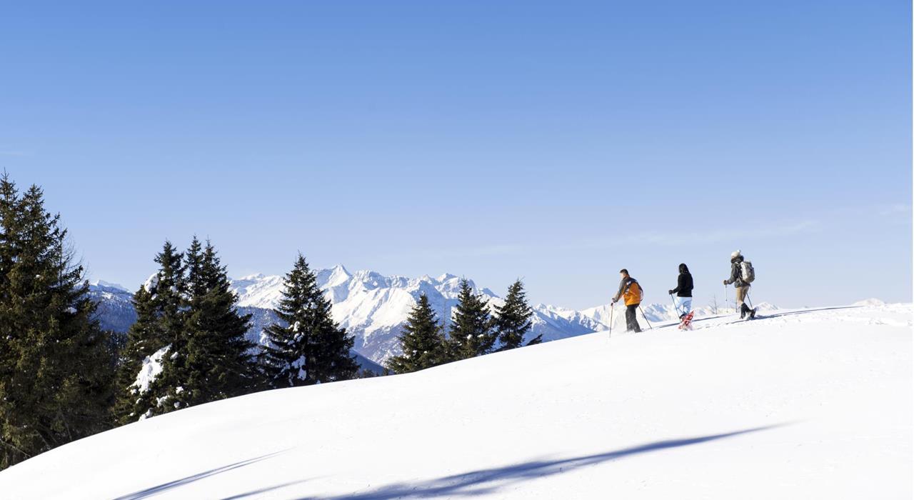 Wandergebiet-Vigiljoch-Piste-Lana-und-Umgebung-af