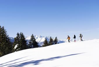 The ski areas in Venosta Valley