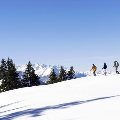 Snowshoe Hiking in South Tyrol