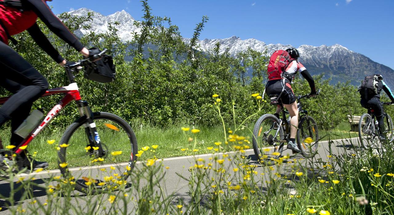 Aktivurlaub-Genussrad Radweg Vinschgau Claudia Augusta Vinschger Radweg--Partschins-HR