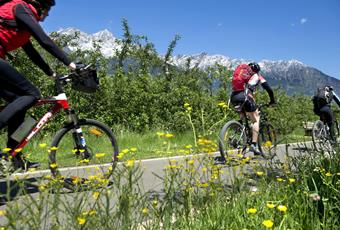 Cycling in Parcines