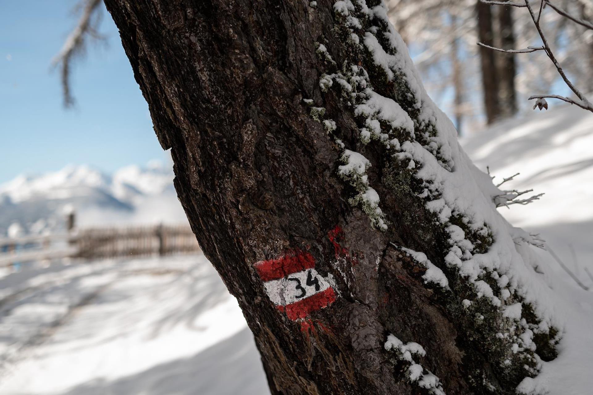 nur-nach-ruecksprache-mit-sybille-verwenden-52