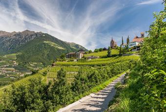 Immagini panoramiche a 360°