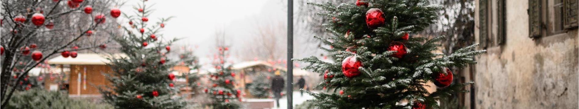 Storia attuale e highlight