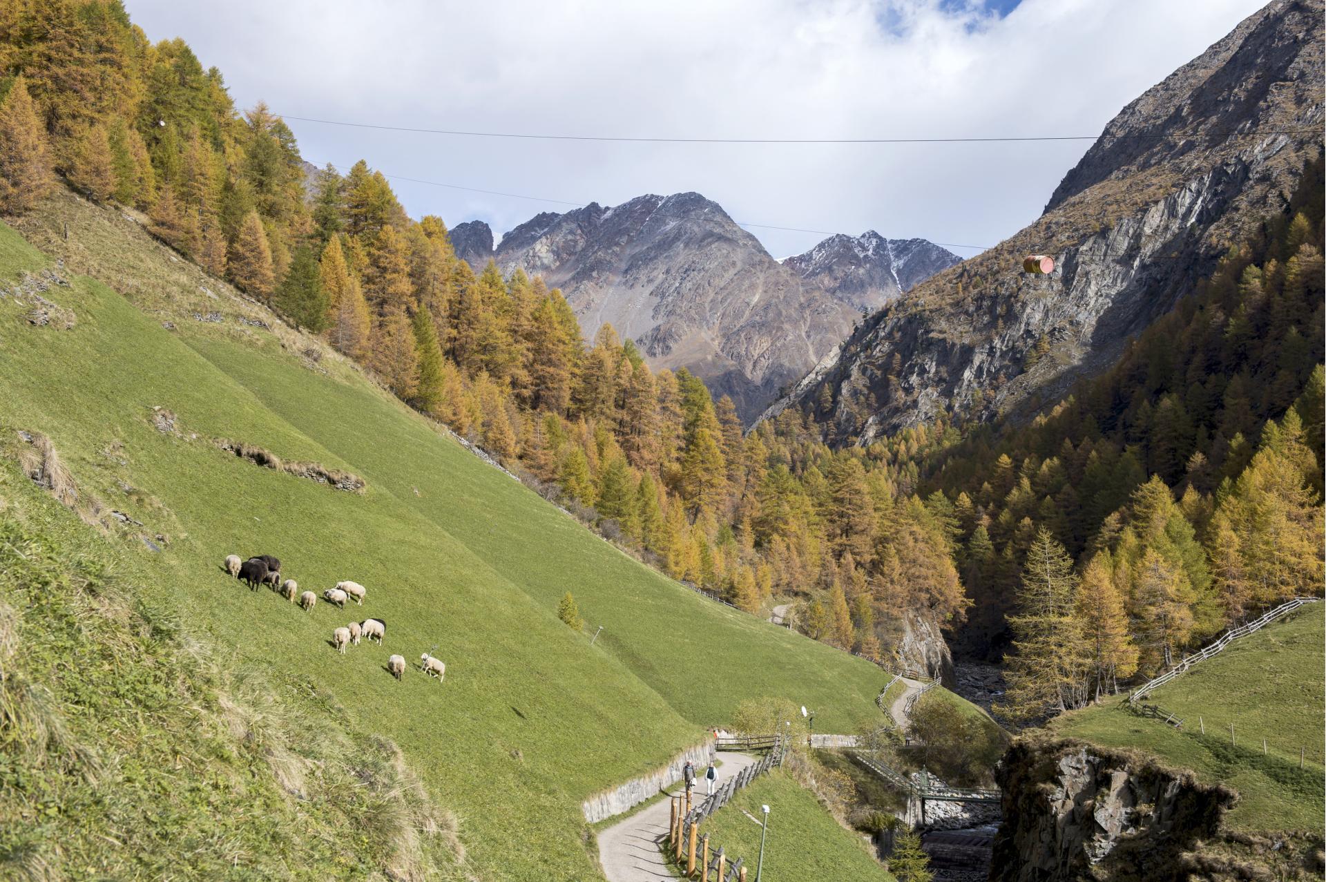 meraner-hoehenweg-pfossental-tg-naturns-idm-suedtirol-alex-filz