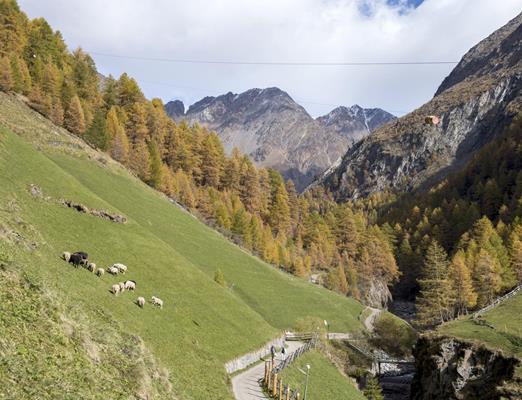 meraner-hoehenweg-pfossental-tg-naturns-idm-suedtirol-alex-filz