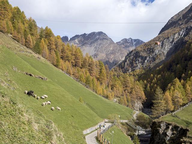 meraner-hoehenweg-pfossental-tg-naturns-idm-suedtirol-alex-filz