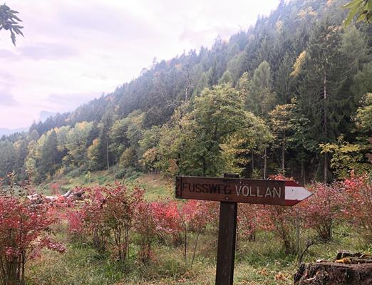 fringeintravel-wald-beschilderung-voellan