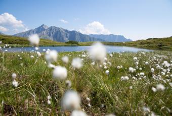 Wetter & Webcams im Passeiertal