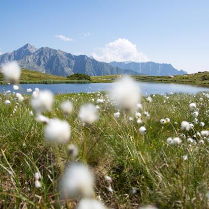 Weer & webcams in het Passeiertal