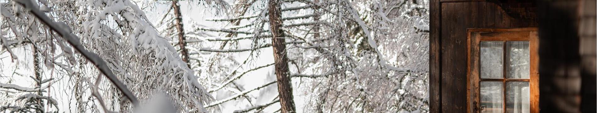 Storia attuale e highlight