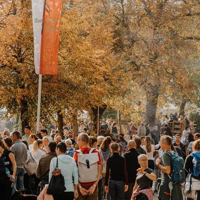 Hoogtepunten van het evenement in Lana en omgeving