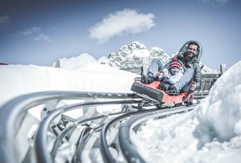 Summer Tobogganing