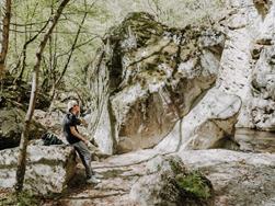 Summer in the Lana region