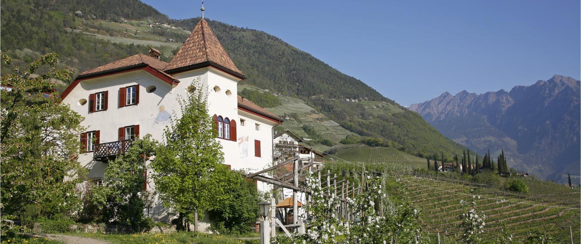 Stokerij Unterthurner en Lahnerhof