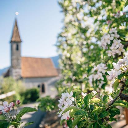 When art, nature, and tradition meet in sweet harmony