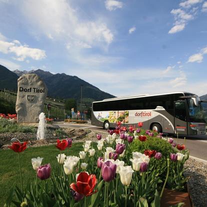 Arrivare a Tirolo in autobus