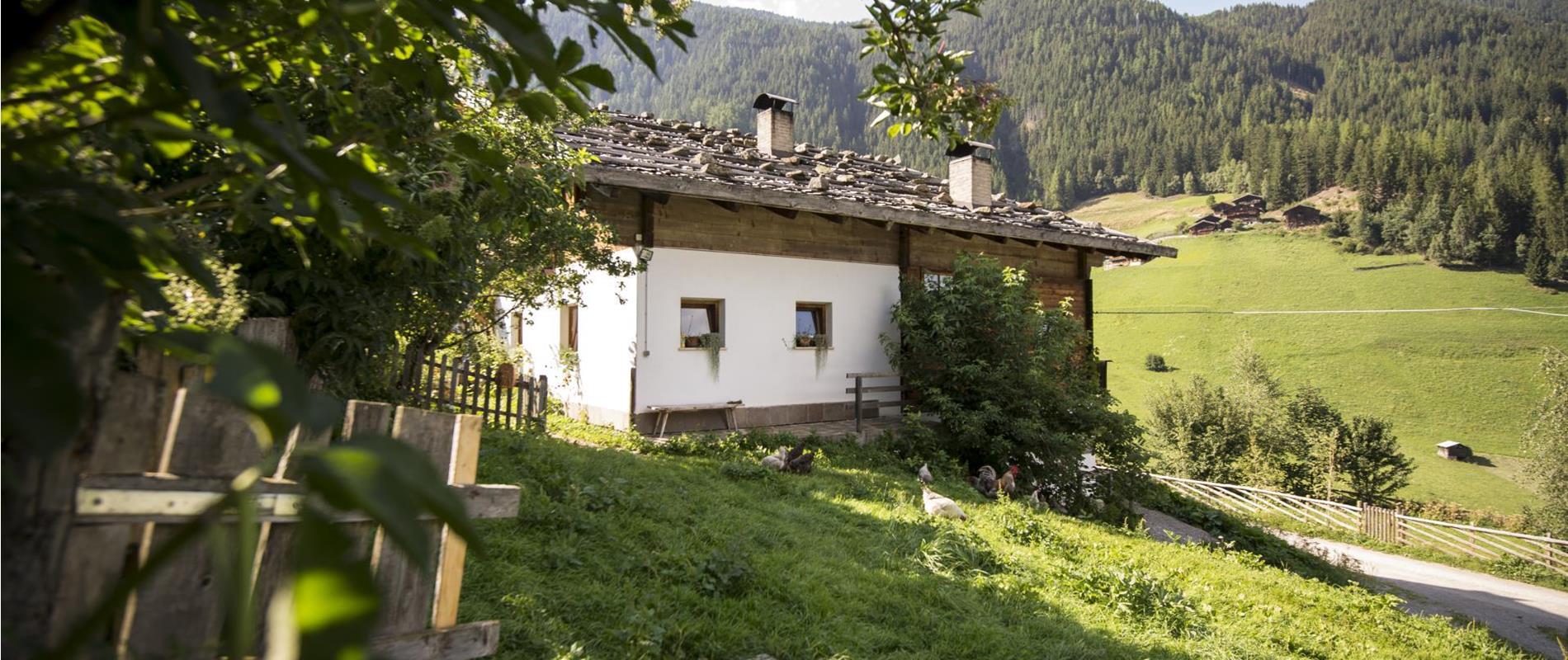 Partner Establishments and associated facilities in the Ultental Valley
