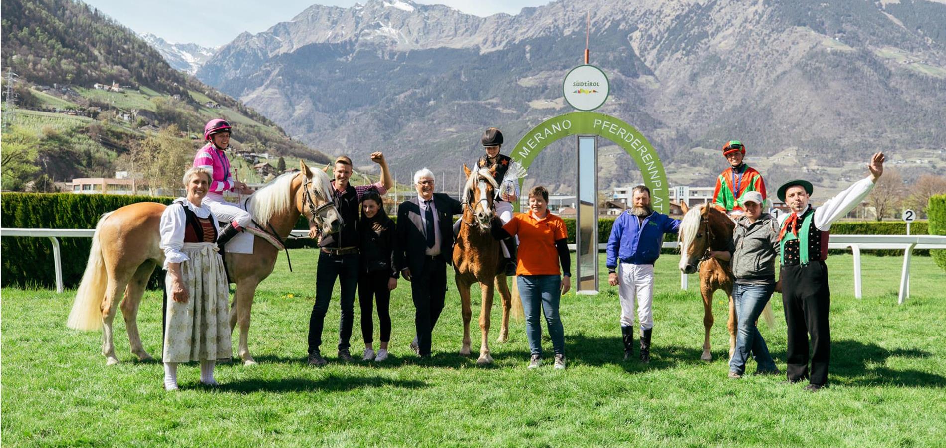 The Haflinger gallop race on Easter Monday in Meran