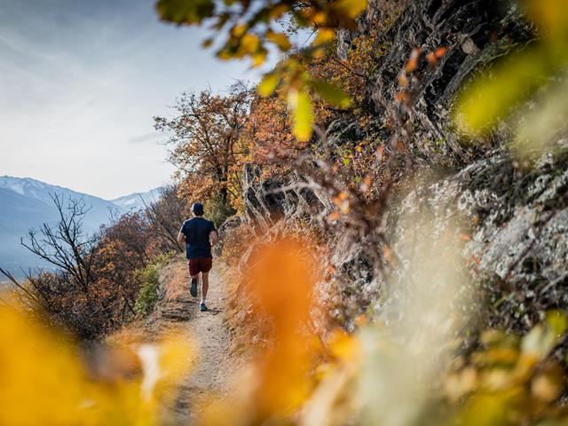 trailrun-sonnenberg-herbst-tg-naturns-phil-ausserhofer-4