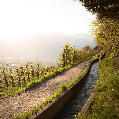Benvenuti nel paese del vino Marlengo