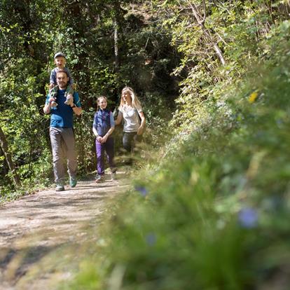 Excursions in Passeiertal Valley