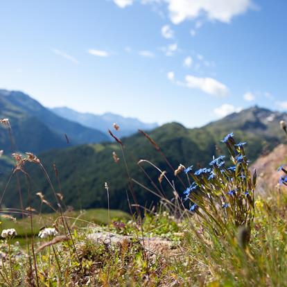 Nature and culture in Passeiertal Valley