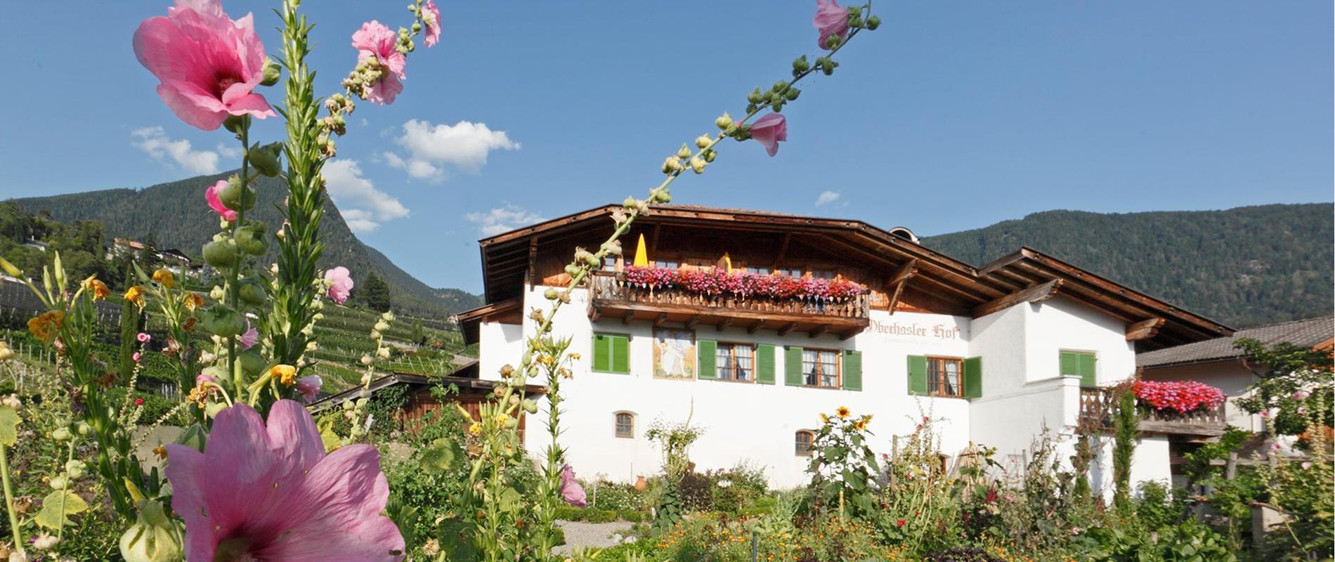 Vakantie op de boerderij in Scena