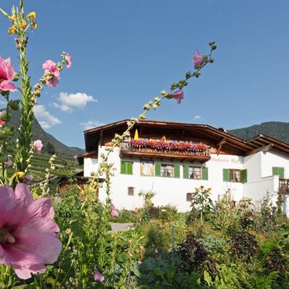 Vakantie op de boerderij in Schenna