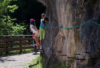 Haflinger adventure trail