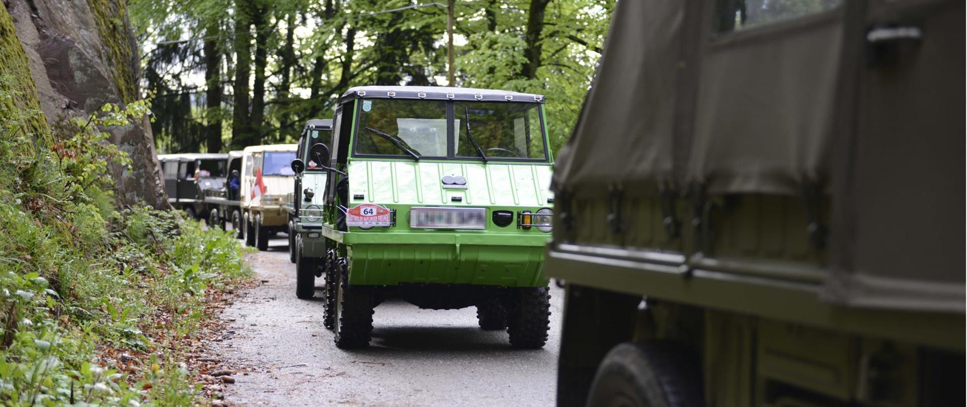 Veranstaltungen-Haflinger-Steyr-Puch-Haflinger-Hafling-Voeran-Meran2000-tv