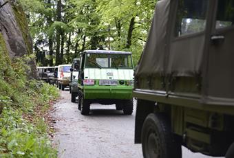 4th International Steyr-Puch Haflinger meeting