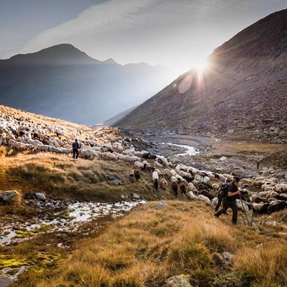 AUTUMN DELIGHTS - ENJOY AUTUMN IN SCHNALSTAL VALLEY